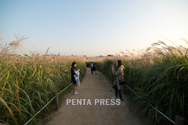 pentapress