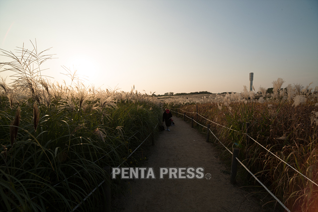 pentapress
