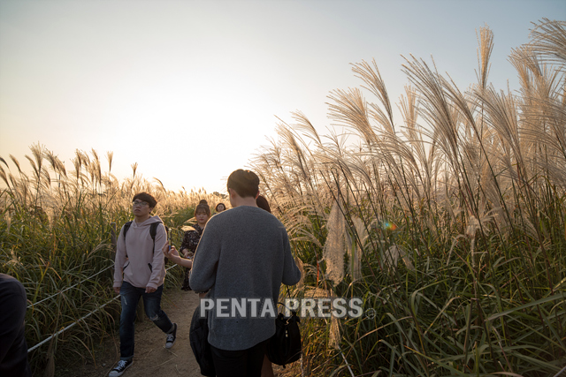 pentapress
