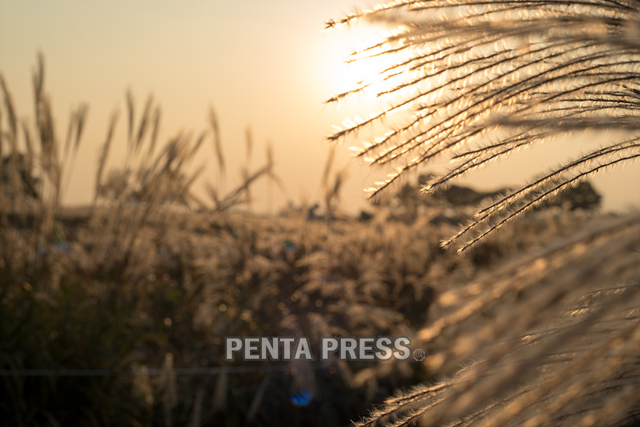 pentapress