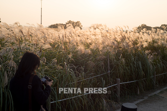 pentapress