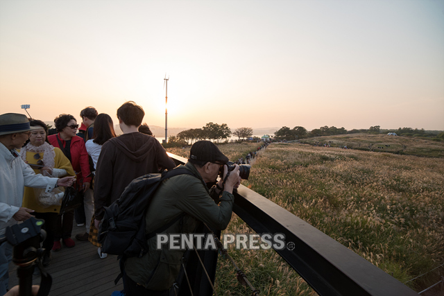 pentapress