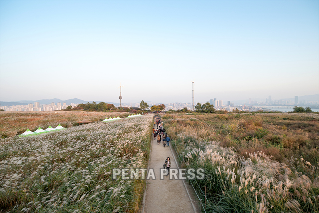 pentapress