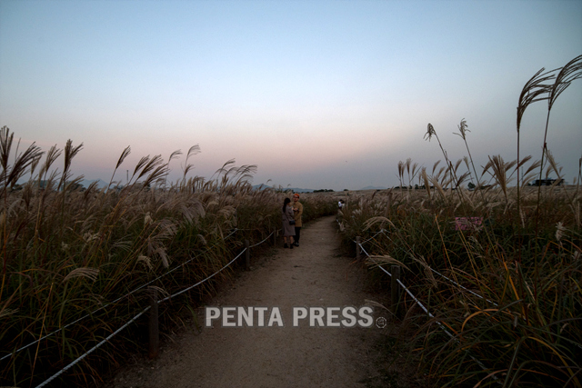 pentapress