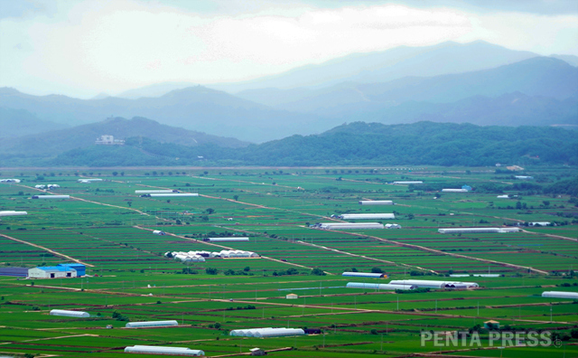 pentapress
