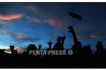 pentapress