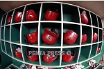 pentapress