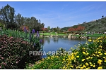 pentapress