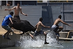 pentapress