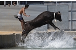pentapress