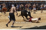 pentapress