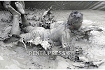 pentapress
