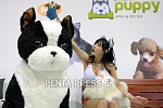 pentapress
