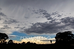 pentapress
