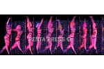 pentapress