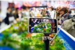 pentapress