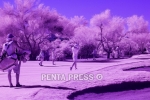 pentapress
