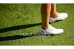pentapress