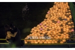 pentapress