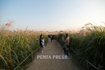 pentapress