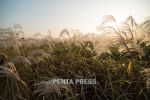 pentapress