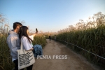 pentapress