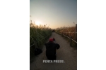 pentapress