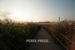 pentapress