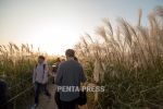 pentapress