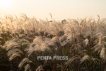 pentapress