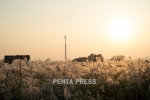 pentapress