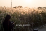 pentapress