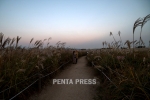 pentapress