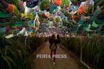 pentapress