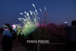 pentapress