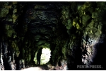 pentapress