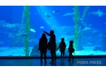 pentapress