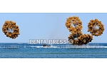 pentapress